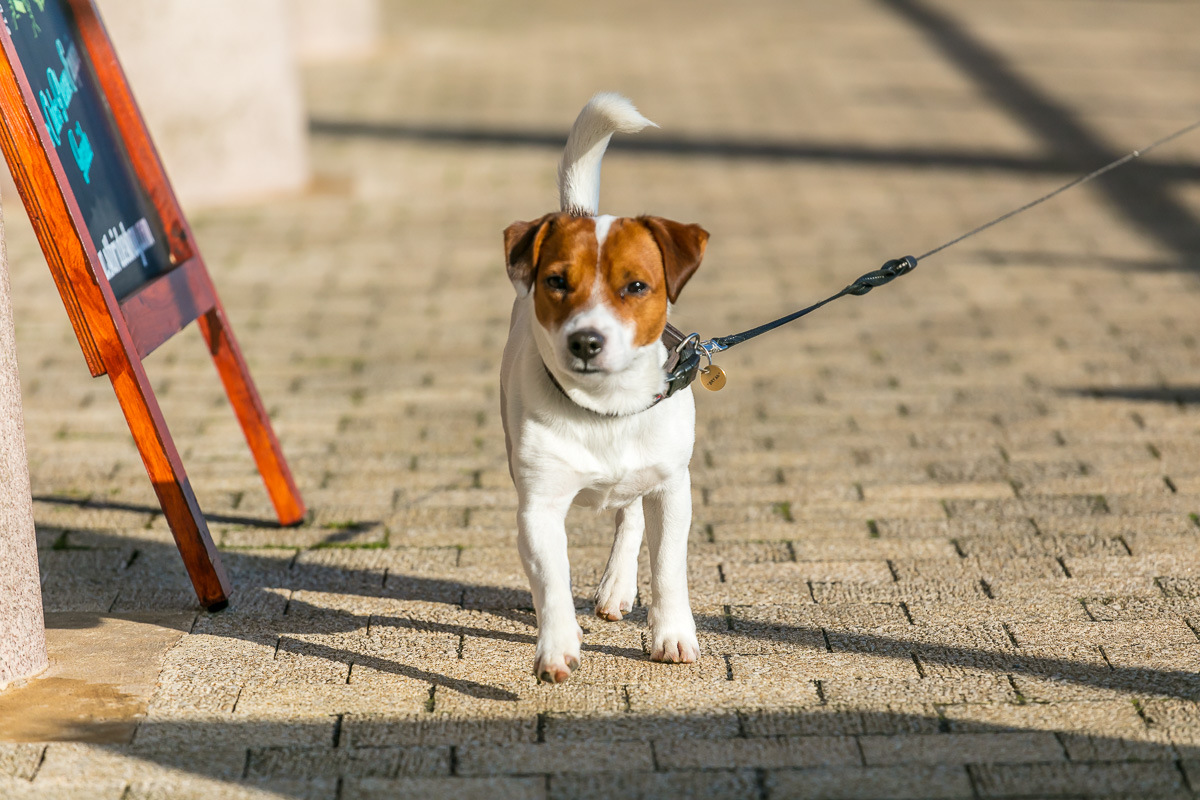 Useful things to know before you visit