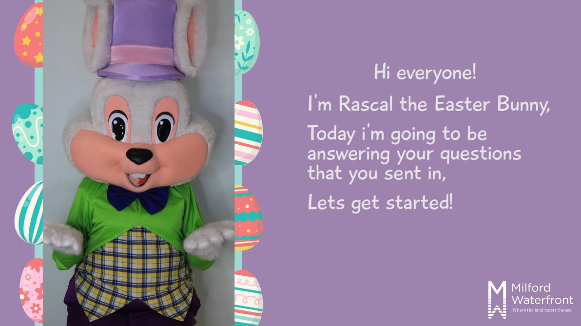 Your Easter Bunny Questions Answered