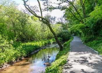 View the Lower Priory Woodland walk