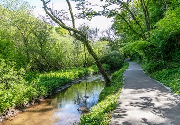 The Lower Priory Woodland Walk