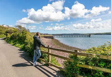 Scotch Bay Stroll