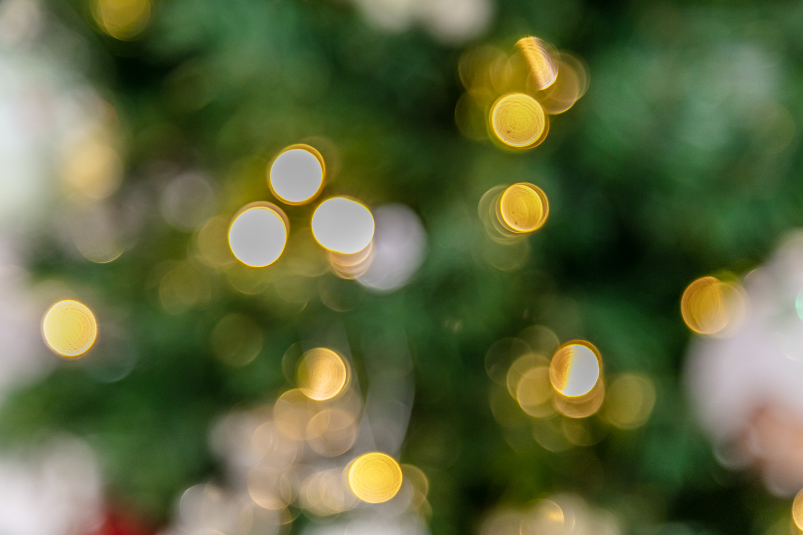 Blurred out Christmas tree