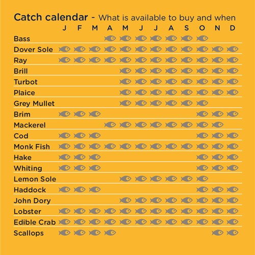 Catch calendar