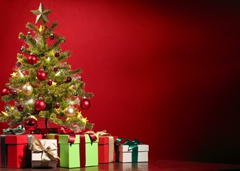 Countdown to Christmas at The Waterfront Gallery